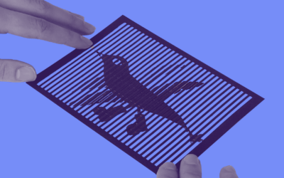 ILIUZIJŲ MENAS (judantys piešiniai)