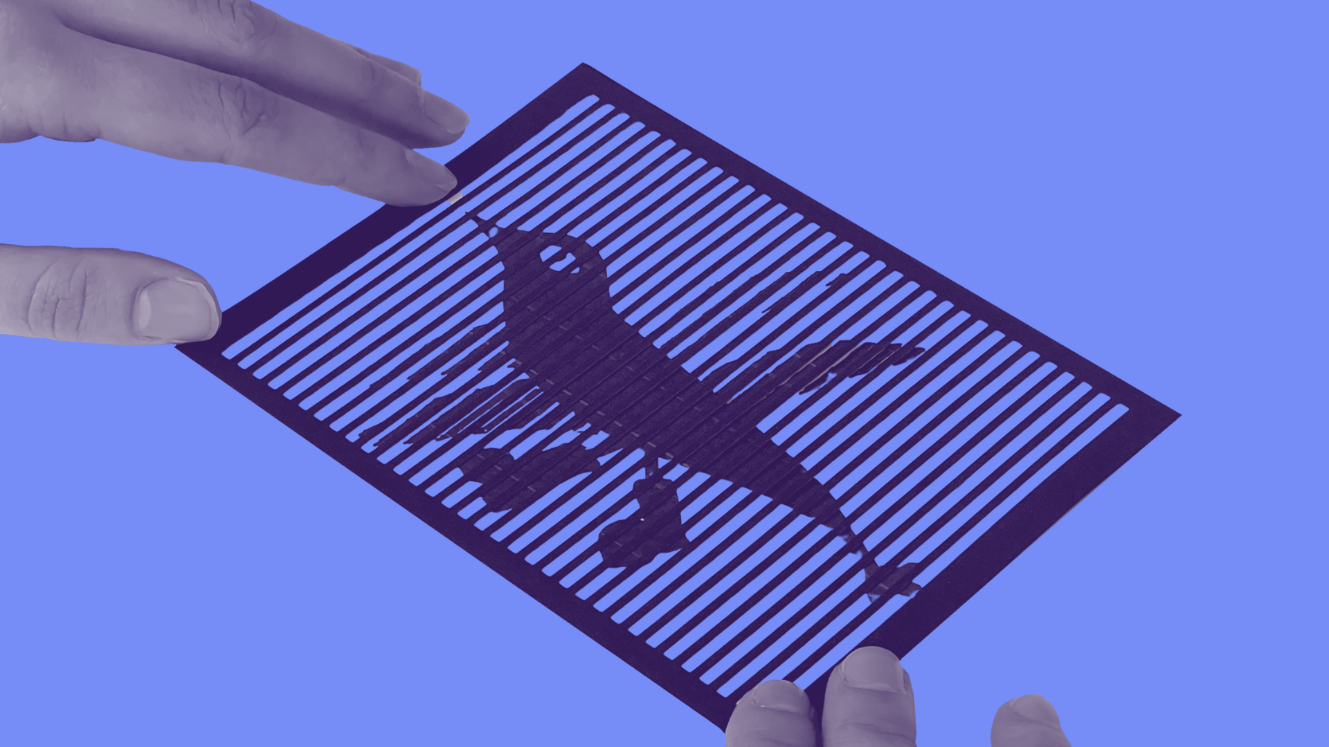 ILIUZIJŲ MENAS (judantys piešiniai)