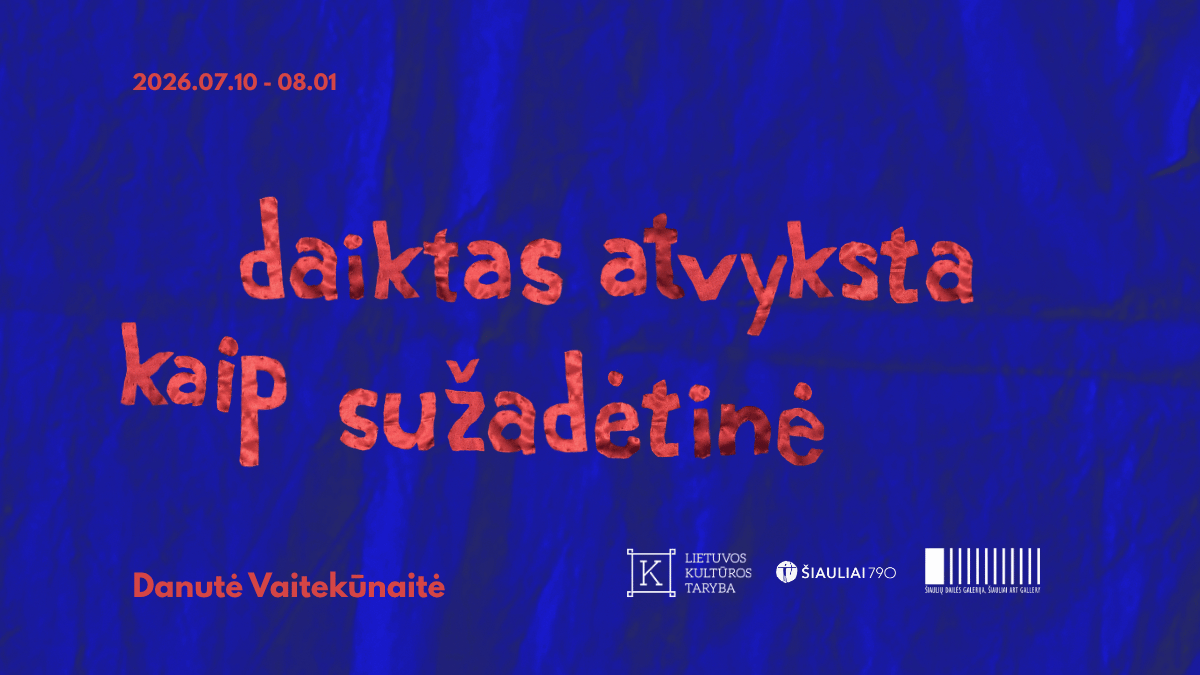 Danutės Vaitekūnaitės paroda „daiktas atvyksta kaip sužadėtinė“